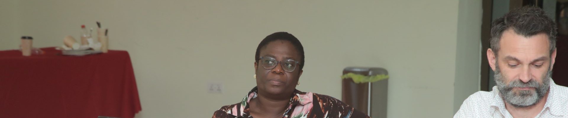 Global Engagement Research Fund