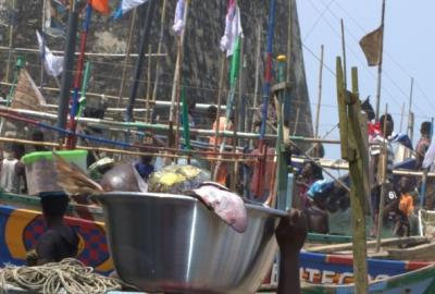 West Africa Coastal Area Programme (WACA)