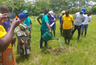 Community Tree Planting Event Held at Bayive