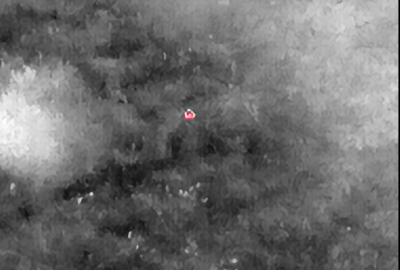 THERMAL DRONE SURVEY OF WILDLIFE IN AVU LAGOON COMMUNITY PROTECTED AREA